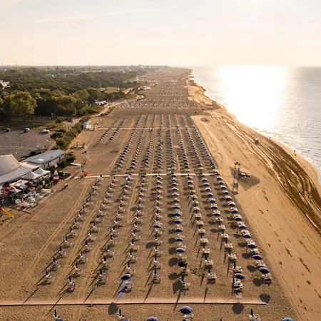 Daire Comfy Flat In A Area *