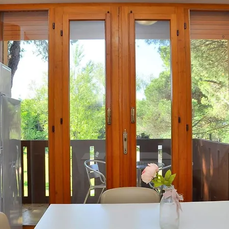 Comfy Flat In A Area *